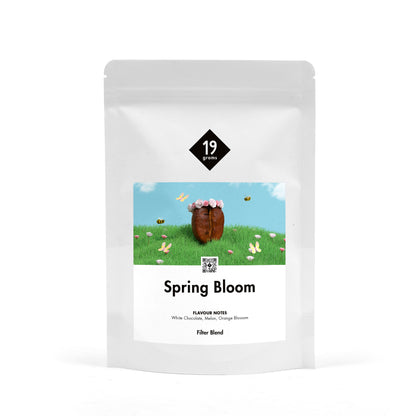 Deine 250g Tüte 19grams Spring Bloom Filter Blend