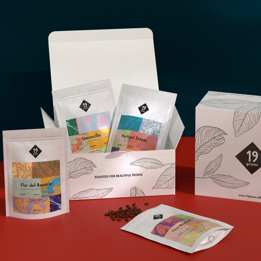 Coffee Advent Calendar 2023 | 19grams Specialty Coffee Roasters coffee-advent-calendar-2023-19grams-specialty-coffee-roasters