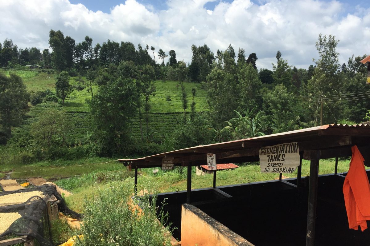 Thirikwa Farm Kenia