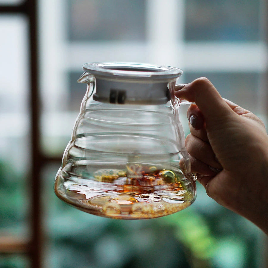 Hario V60 Glaskanne in der Hand mit etwas Kaffee gefüllt.