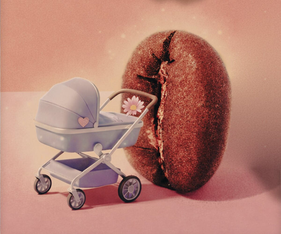 Polaroid: Eine große Kaffeebohne steht neben einem kleinen hellblauen Kinderwagen mit Gänseblümchen