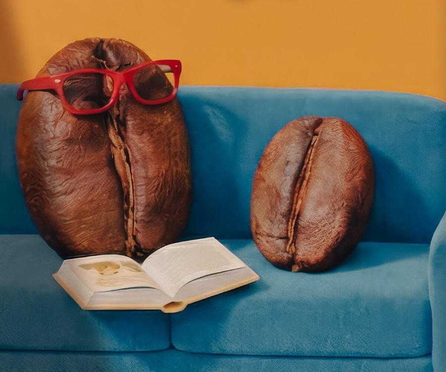 Polaroid: Eine Kaffeebohne mit roter Brille und offenem Buch sitzt neben einer kleinen Bohne auf einem blauen Sofa