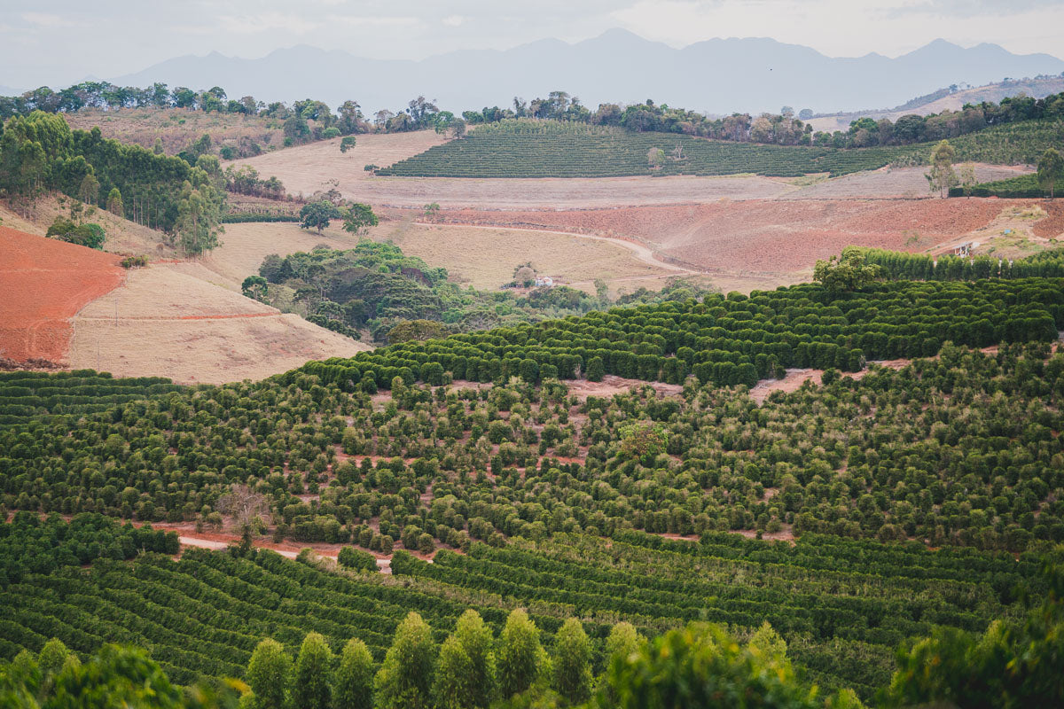 Die Fazenda Santuairio Farm in Brasilien