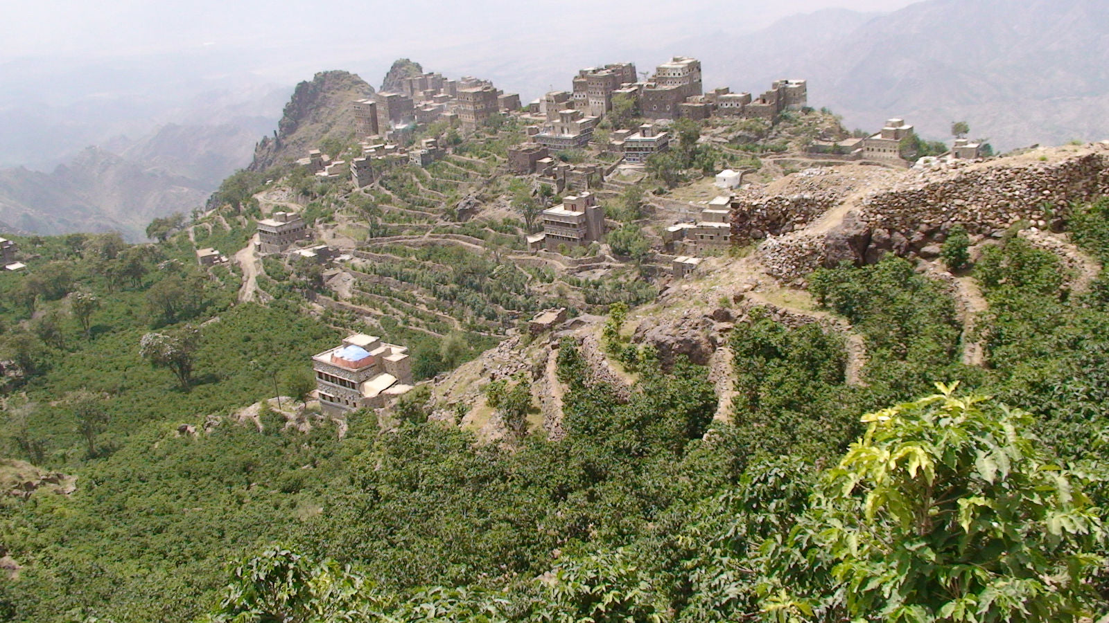 Jemen Coffee Farm Mattari Bird View