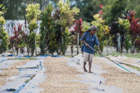Kunjin Papua Neuguinea Coffee Farmer