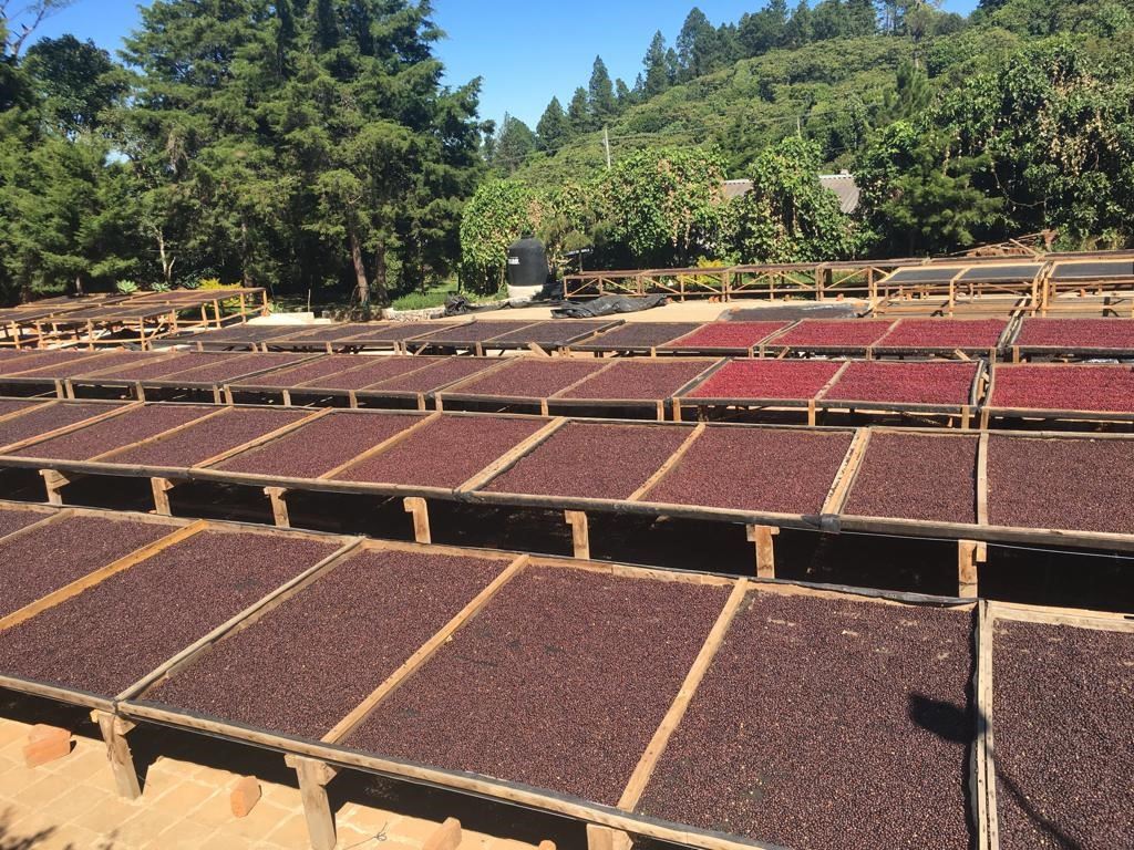 Los Potros Kaffeebetten