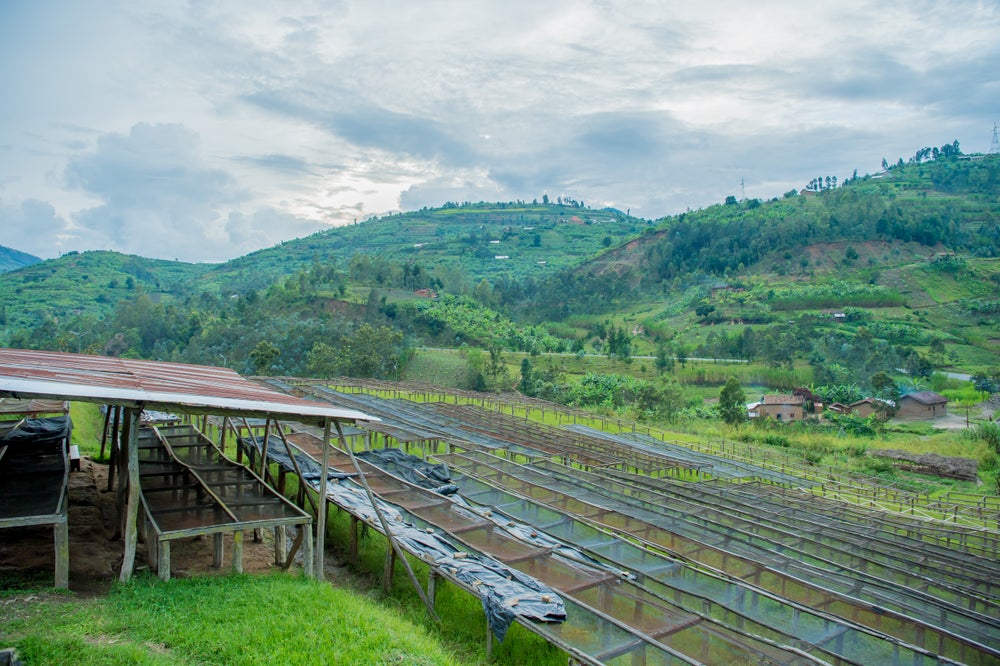 Die Ngorero Farm