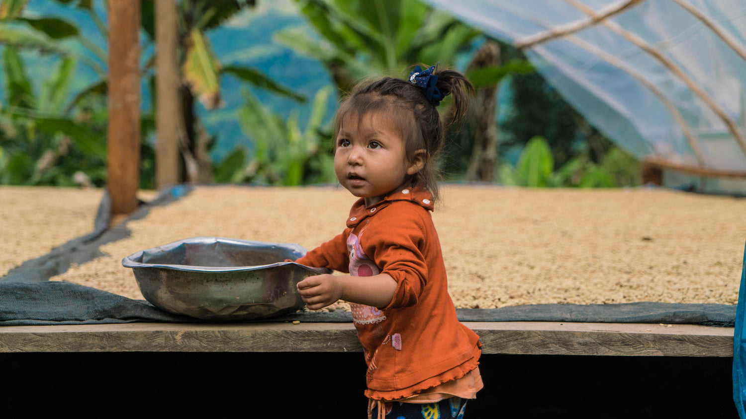 Peru San Jose Kid