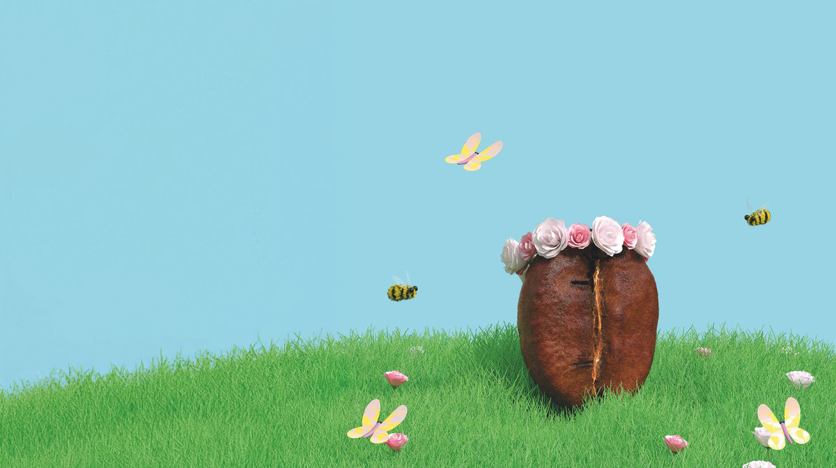 Kaffeebohne mit Blumenkranz auf einer Frühlingswiese unter blauem Himmel, Bienen und Schmetterlinge fliegen herum – Etikett-Motiv des 19grams Spring Bloom