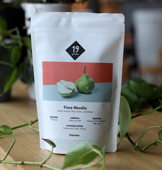 Finca Morelia Caturra Lot