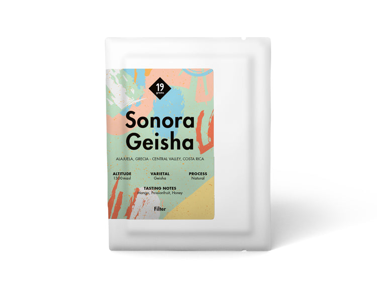 Dein Sonora Geisha Einmal Filter Kaffee Dripper