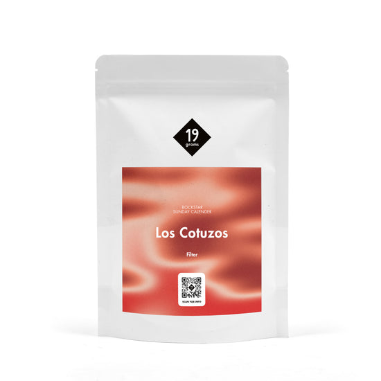 Los Cotuzos Geisha Natural - El Salvador Filter